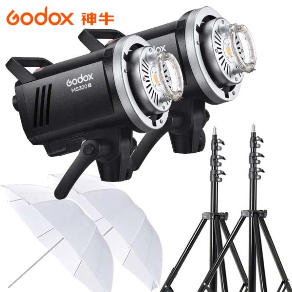 Godox MS300-V
